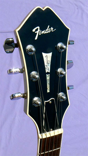 1984 Fender D'Aquisto Standard